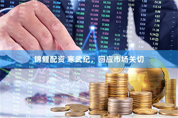 锦鲤配资 寒武纪，回应市场关切