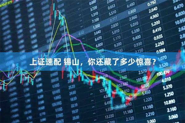 上证速配 锡山，你还藏了多少惊喜？