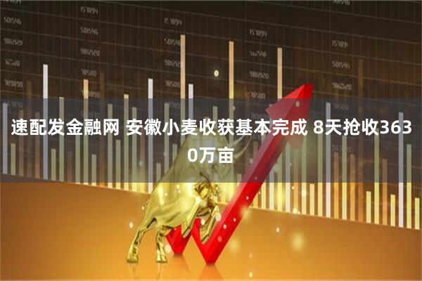 速配发金融网 安徽小麦收获基本完成 8天抢收3630万亩