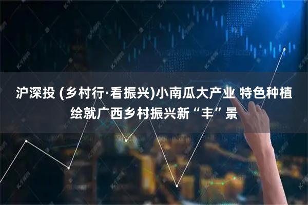 沪深投 (乡村行·看振兴)小南瓜大产业 特色种植绘就广西乡村振兴新“丰”景